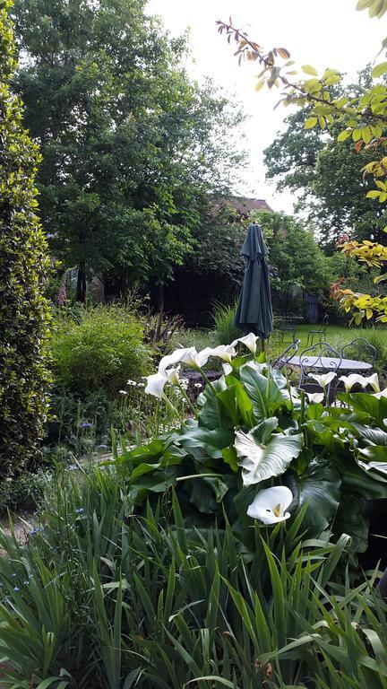 Bed and Breakfast La Gentilhommiere Chantepie Exterior foto